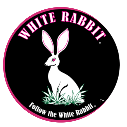 White Rabbit