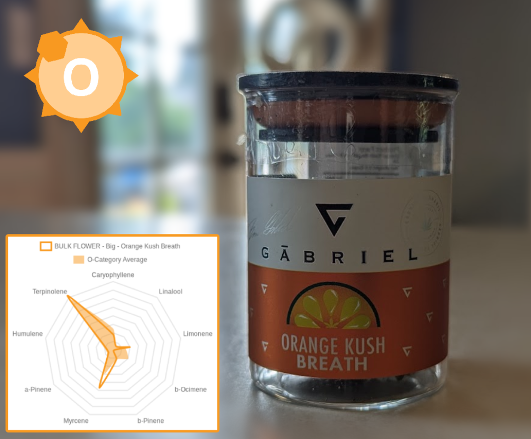 1.%20Gabriel 1.%20Gabriel