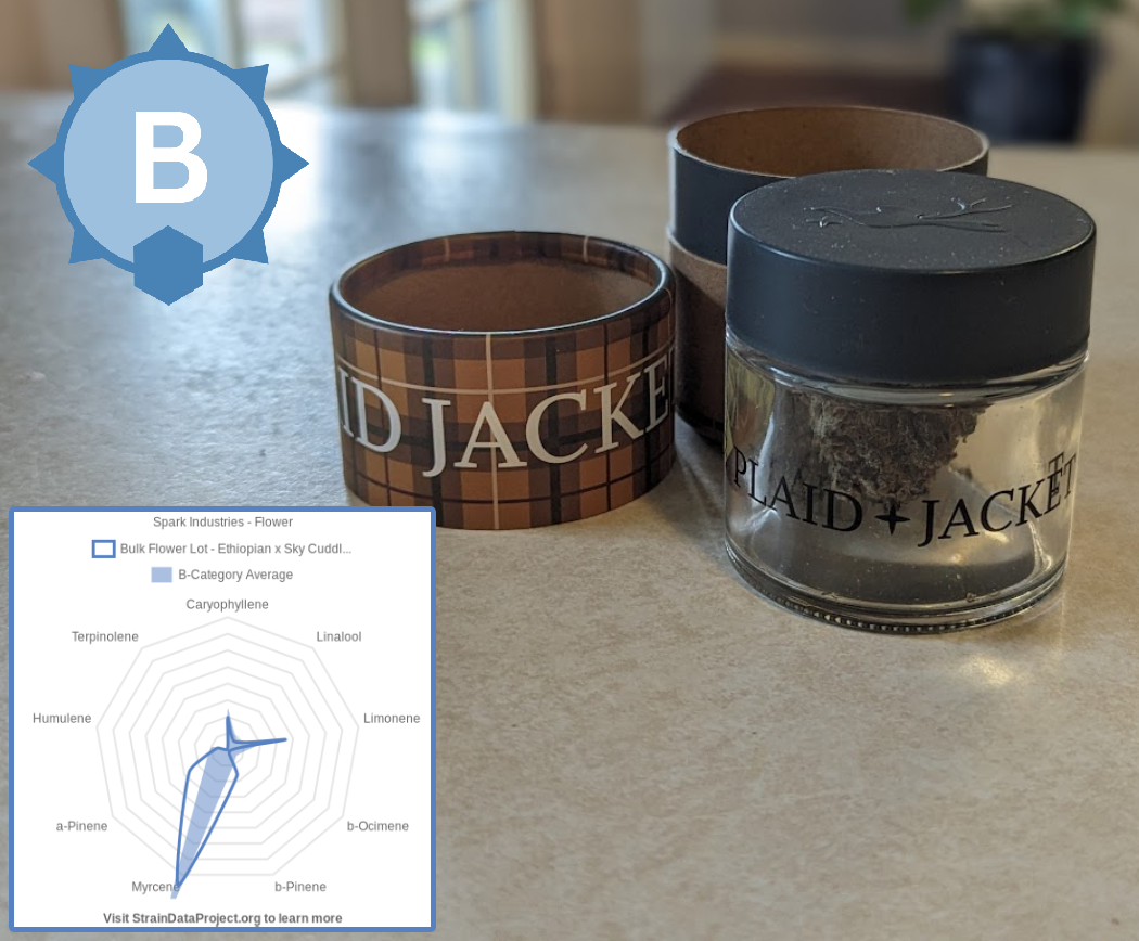 PlaidJacket_EthXSky PlaidJacket_EthXSky